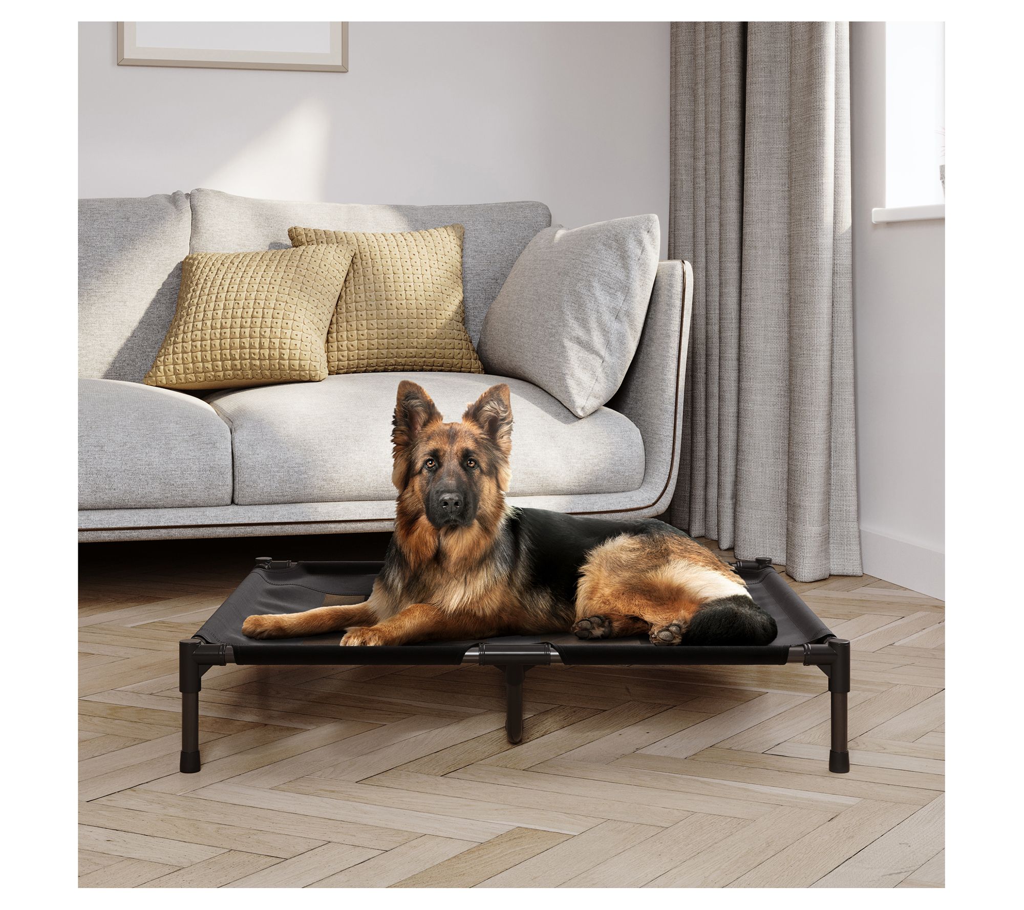 Petmaker Elevated 36 x 30 Portable Pet Bed withNon-Slip Feet