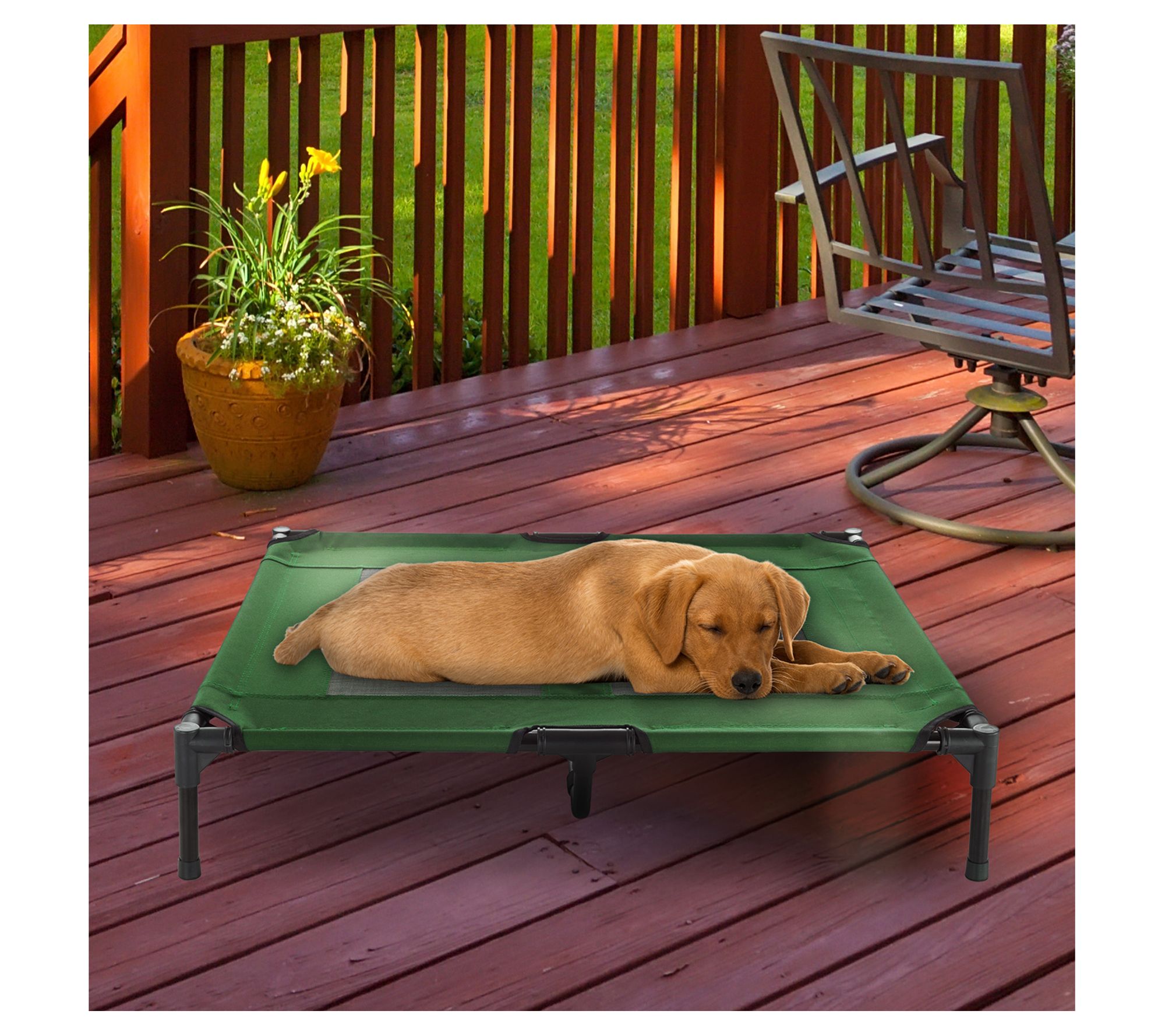 Petmaker Elevated 36 x 30 Portable Pet Bed withNon-Slip Feet