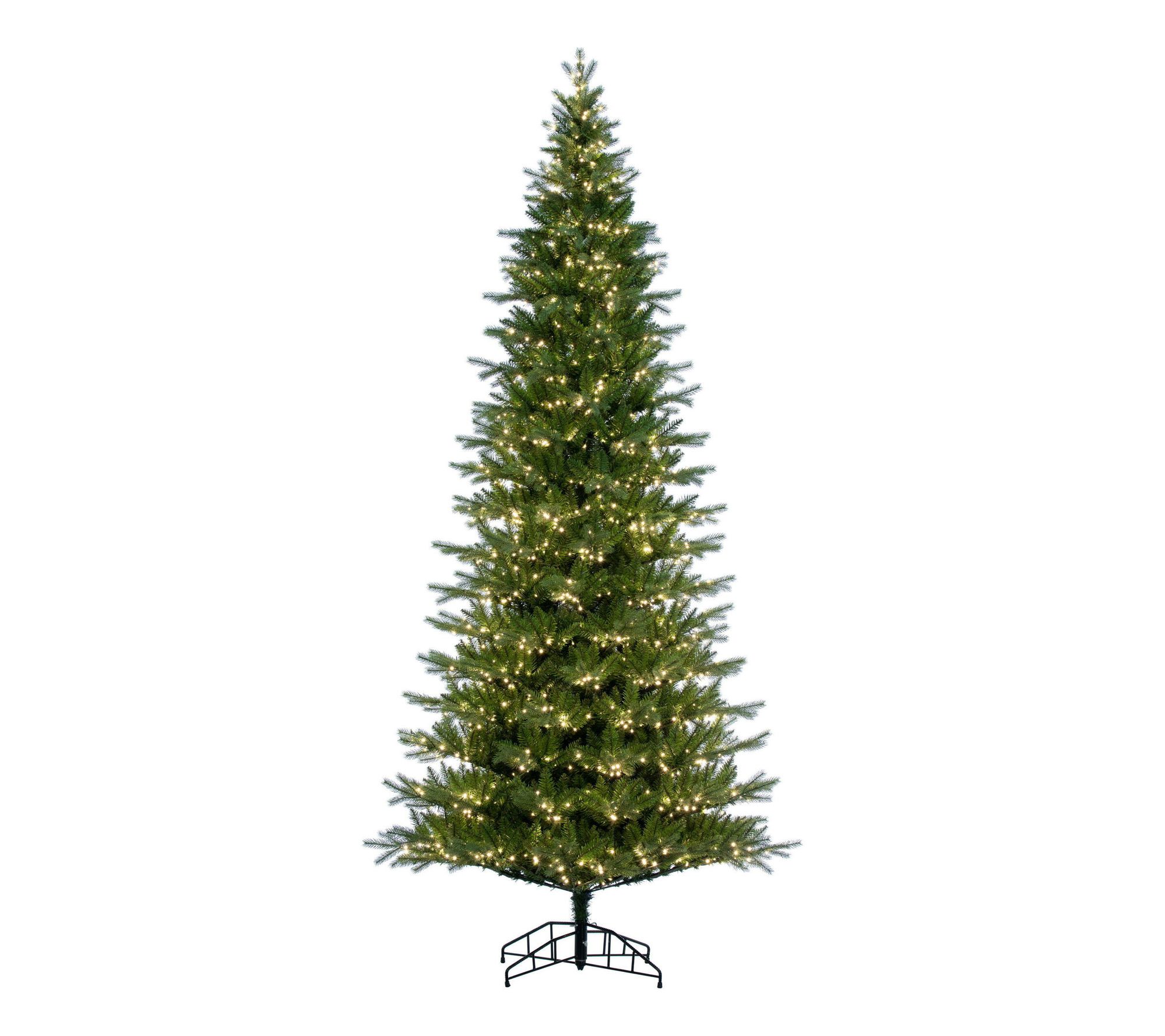 Vickerman 12' x 65" Balsam Spruce 3mm LED 2850WW