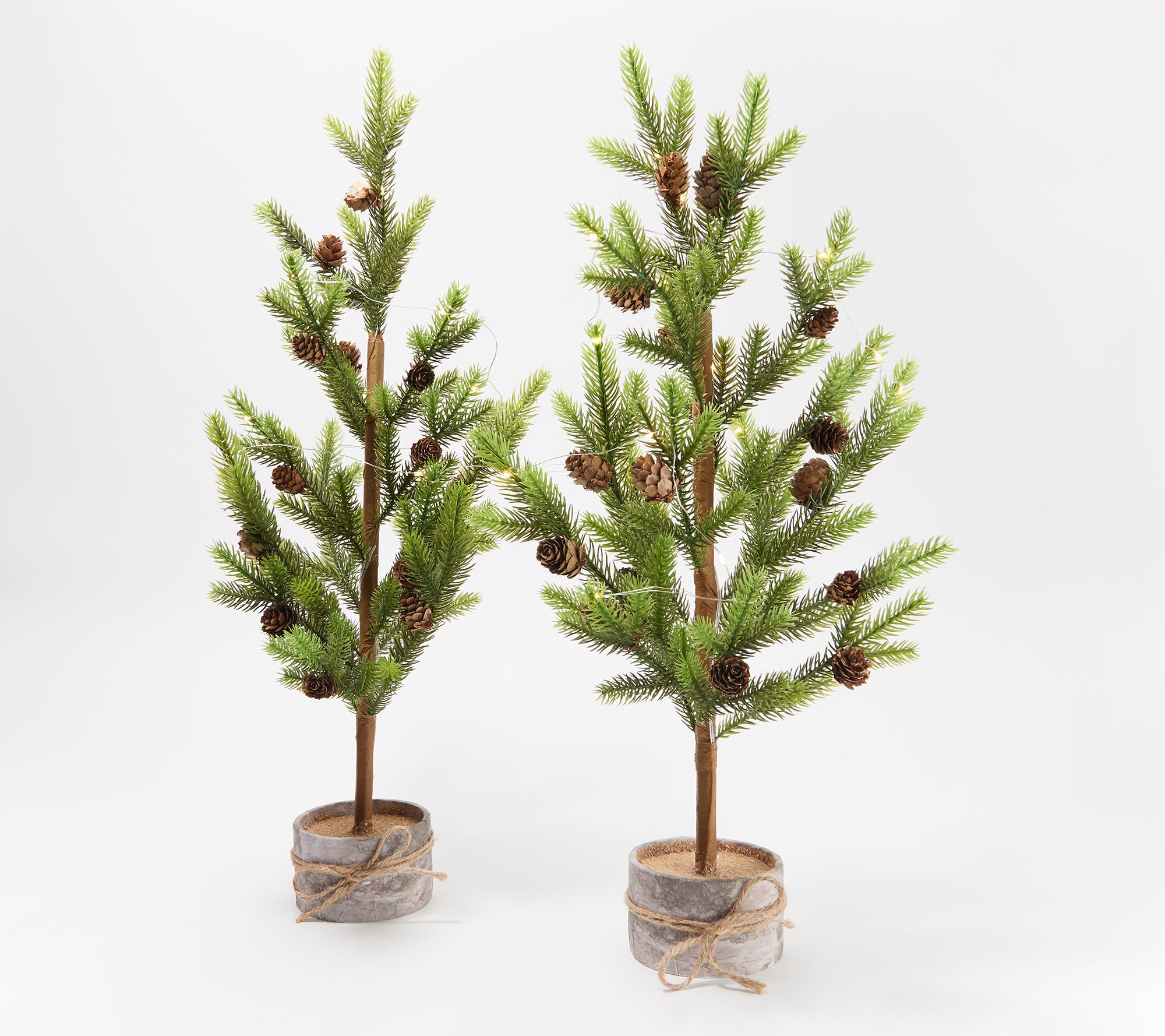 Kringle Express Set of 2 2' Illuminated Woodland Trees - QVC.com