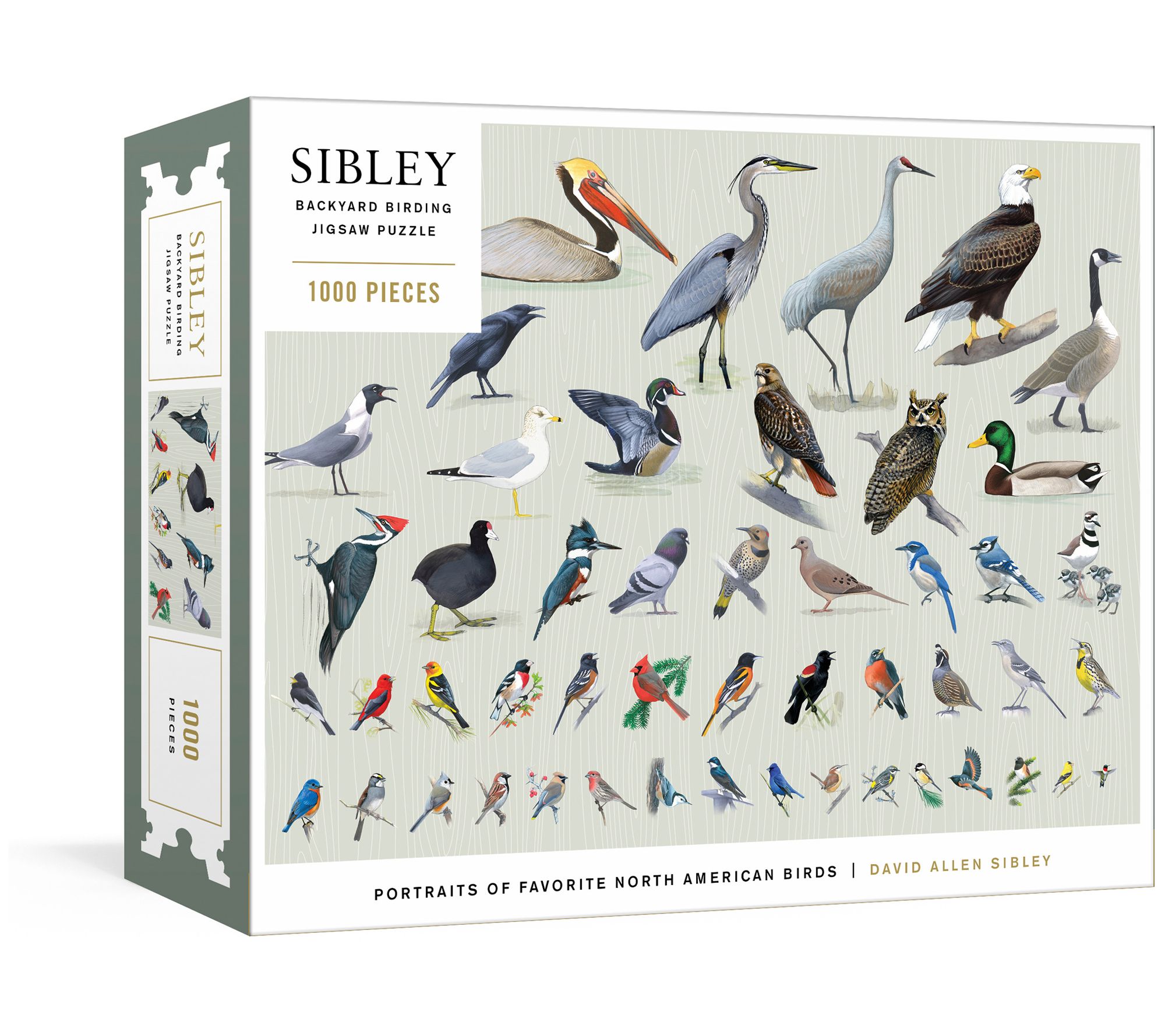 Sibley Backyard Birding Puzzle by David Allen Sibley