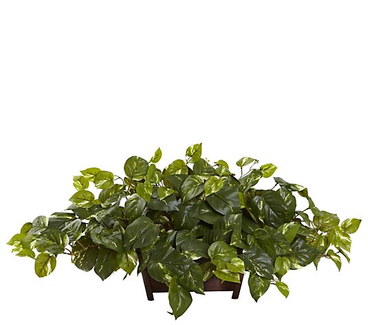 Pothos Window Box Silk Plant by Nearly Natural