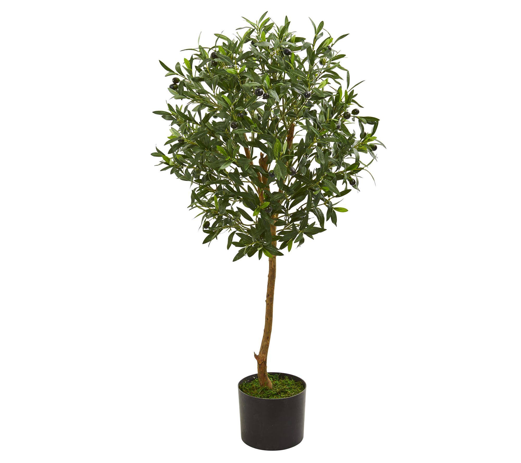 3.5' Olive Artificial Tree by Nearly Natural
