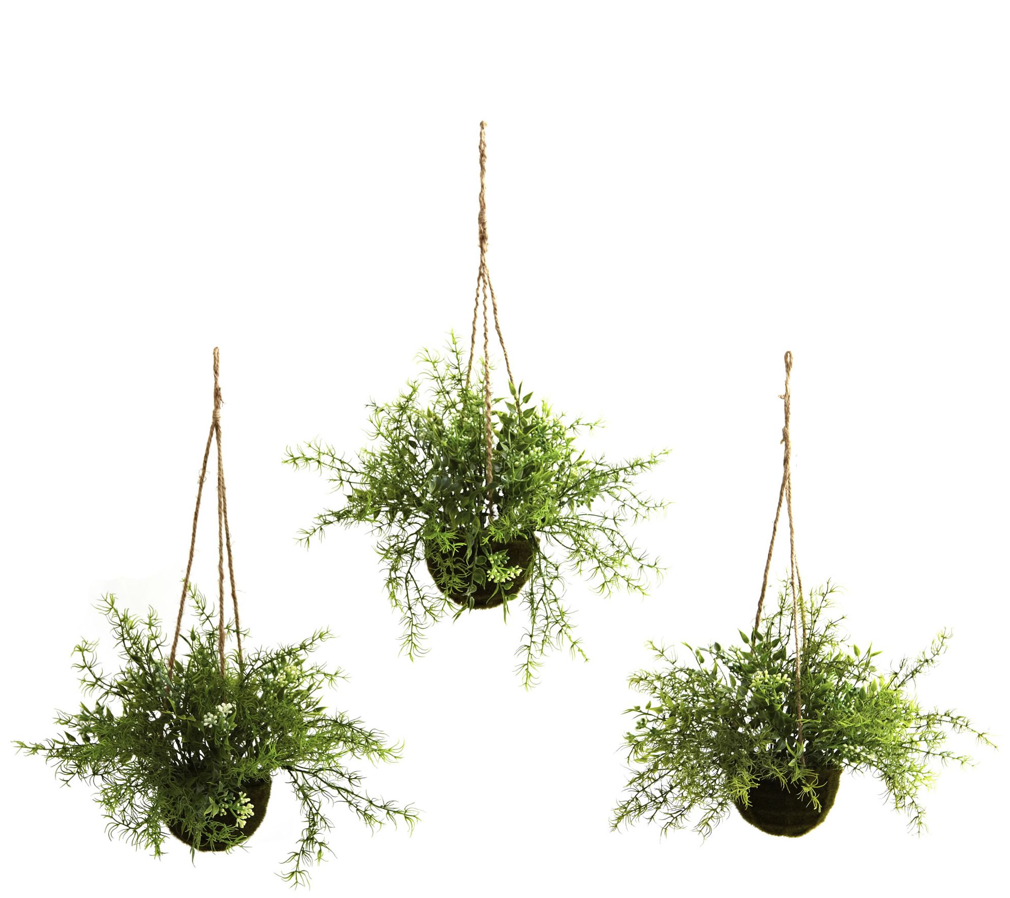 Ruscus Hanging Basket Set of 3 by Nearly Natural