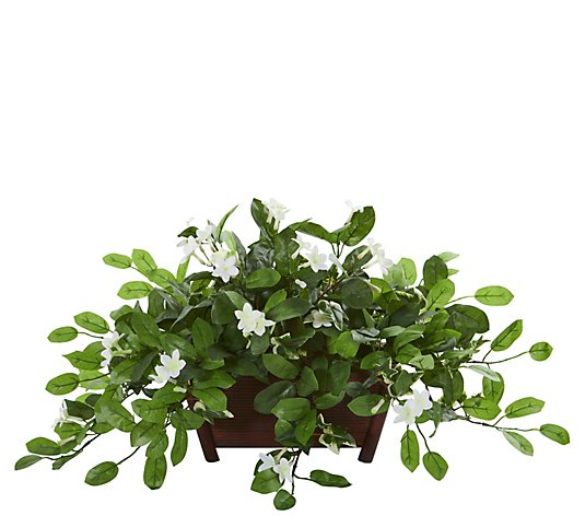 Mix Stephanotis Plant in Planter by Nearly Natural