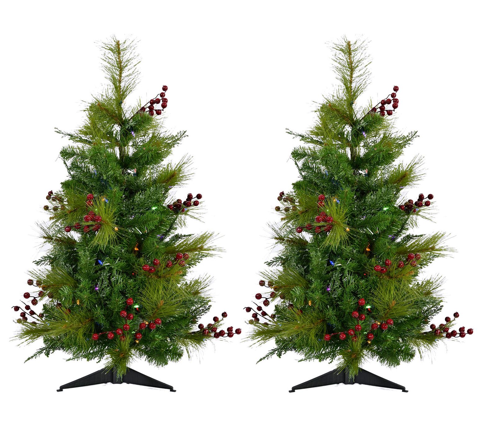 Fraser Hill Farm 2-Foot Battery Operated Artifi cial Trees, Tw