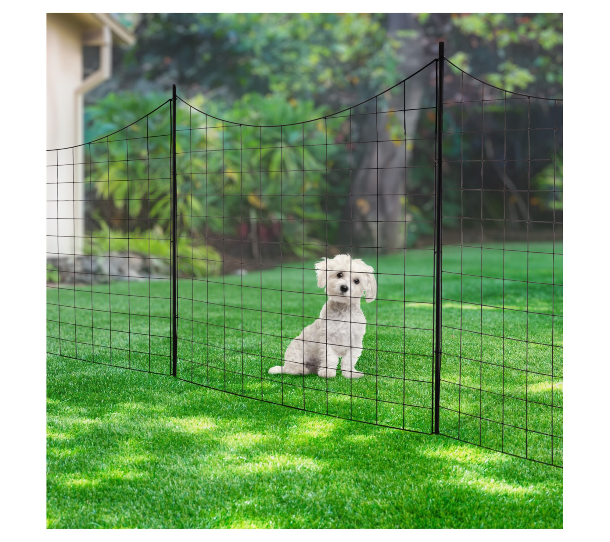 Dog no shop dig fence