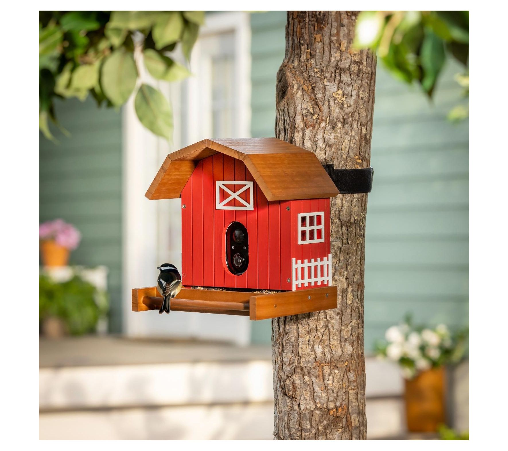 Evergreen LED Barn House Smart Bird Feeder with  Camera