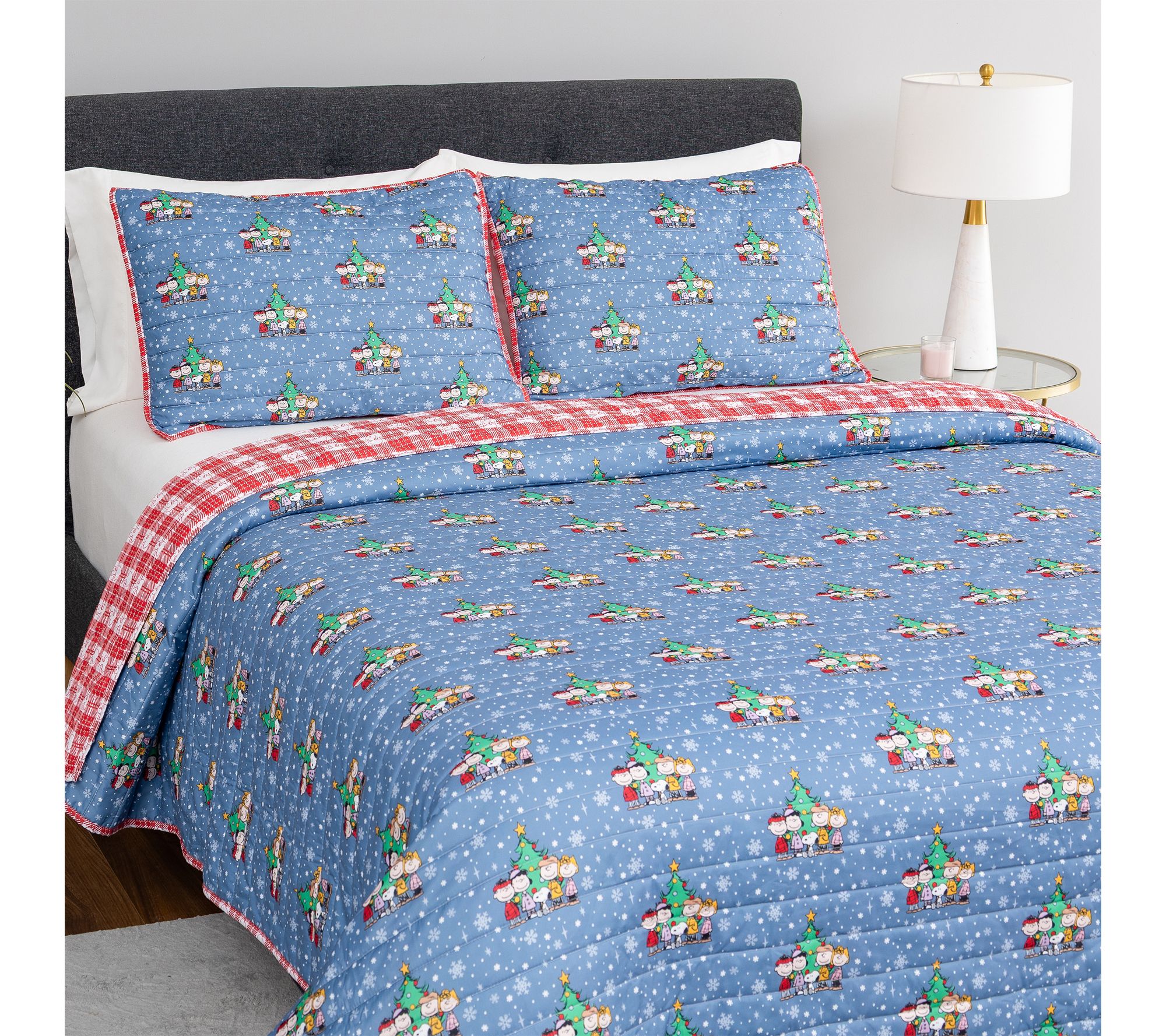 Berkshire Peanuts Winter Mini Quilt Set- King