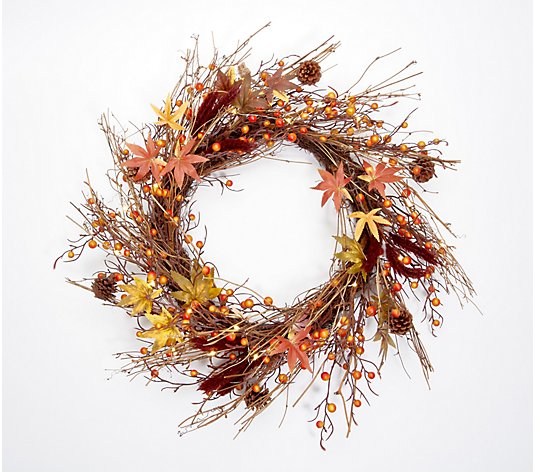 Home Reflections 25" Lit Twig Wreath