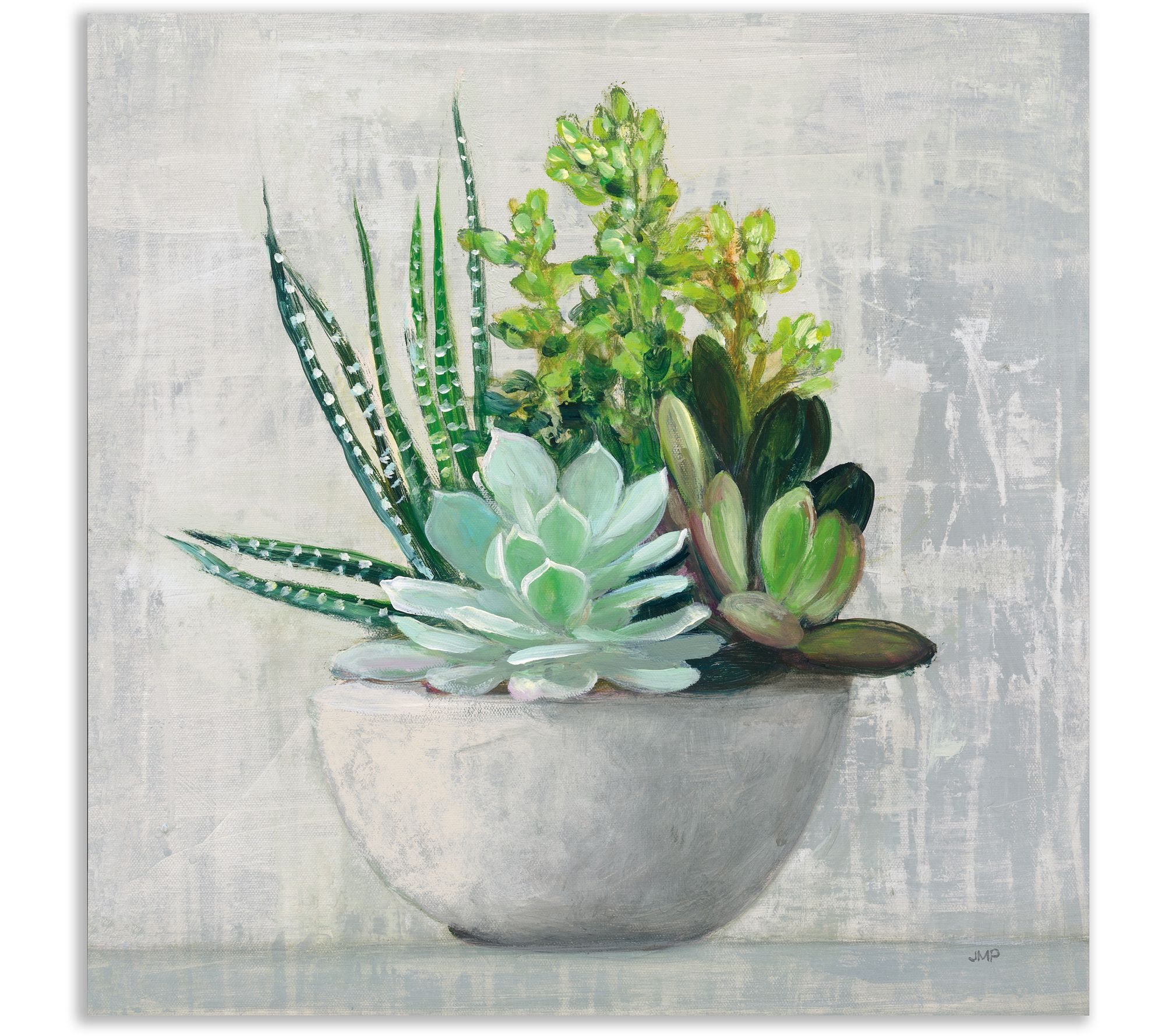 Courtside Market Succulent Still Life II 24x24Canvas Wall Art