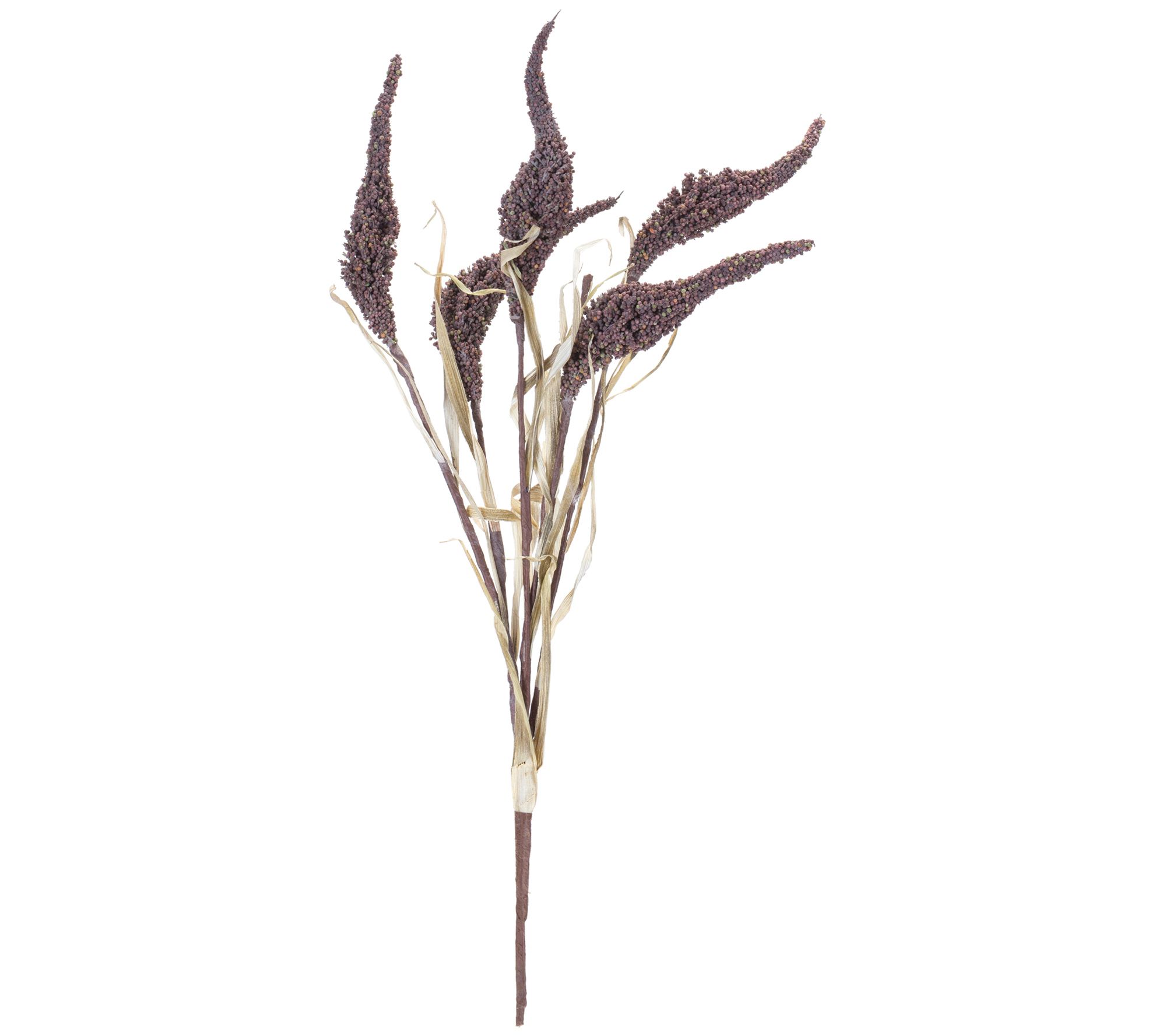 Melrose Seeded Harvest Plume Bush (Set of 12)