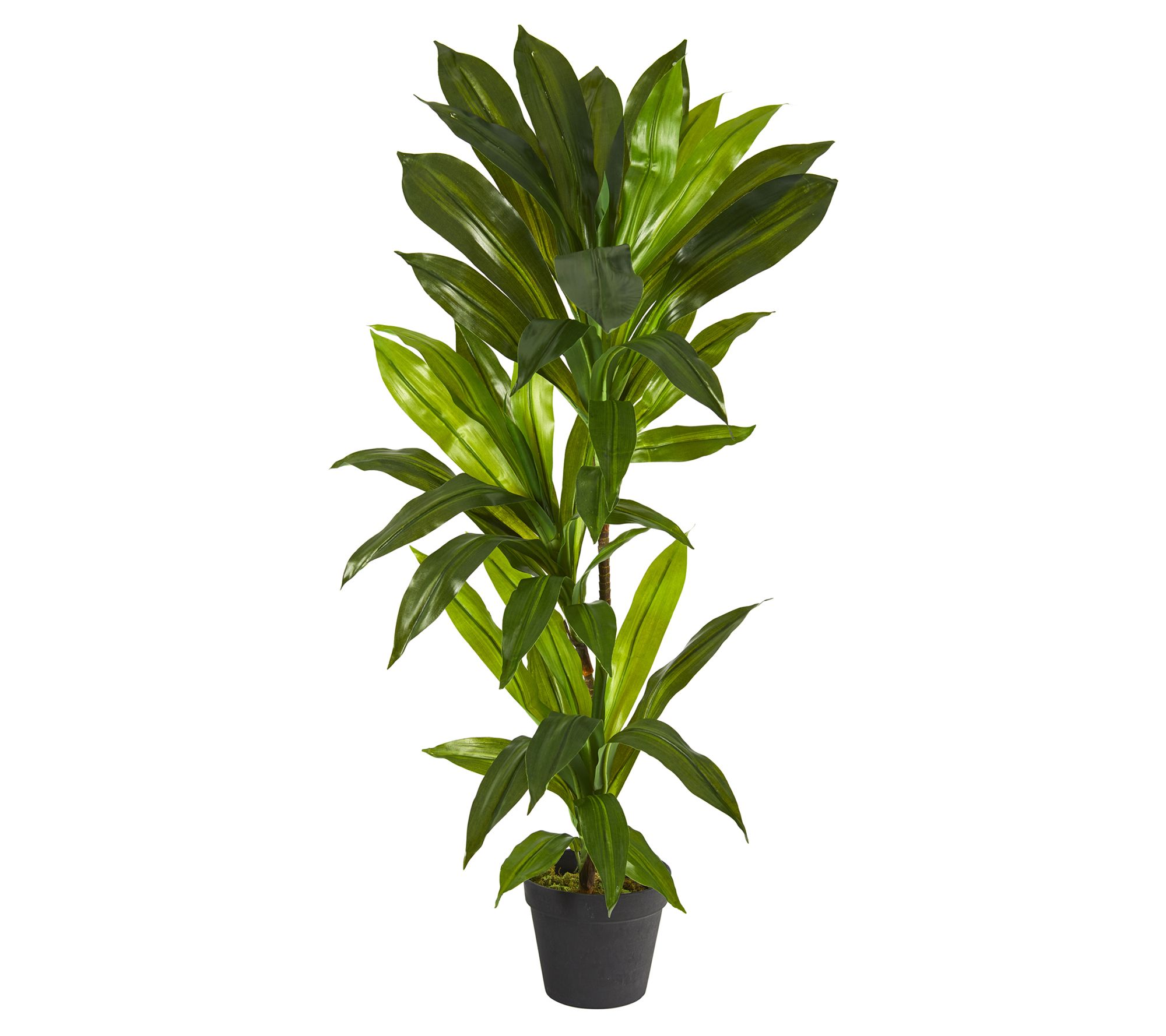 Nearly Natural 3' Dracaena Artificial Plant (Re al Touch)