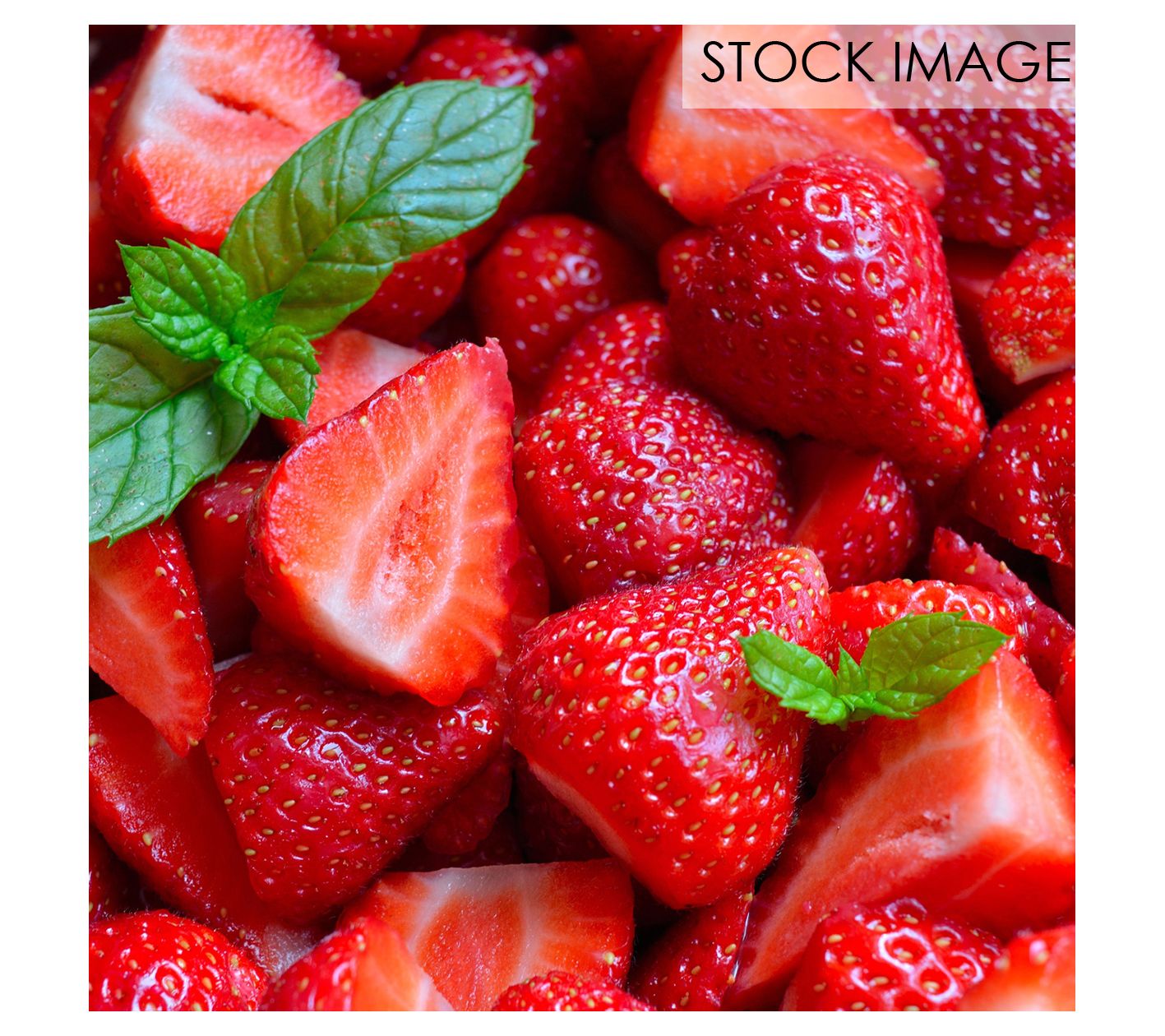 Van Zyverden Junebearing Strawberries Allstar Set of 20 Roots