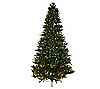 Mr. Christmas Wisconsin Fir 6.5'Pre-Lit LED Tree with 5 Year LMW