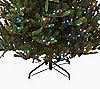 Mr. Christmas Wisconsin Fir 6.5'Pre-Lit LED Tree with 5 Year LMW, 3 of 6