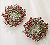 Set of 2 Berry and Leaves Candle Rings by Valerie, 1 of 1