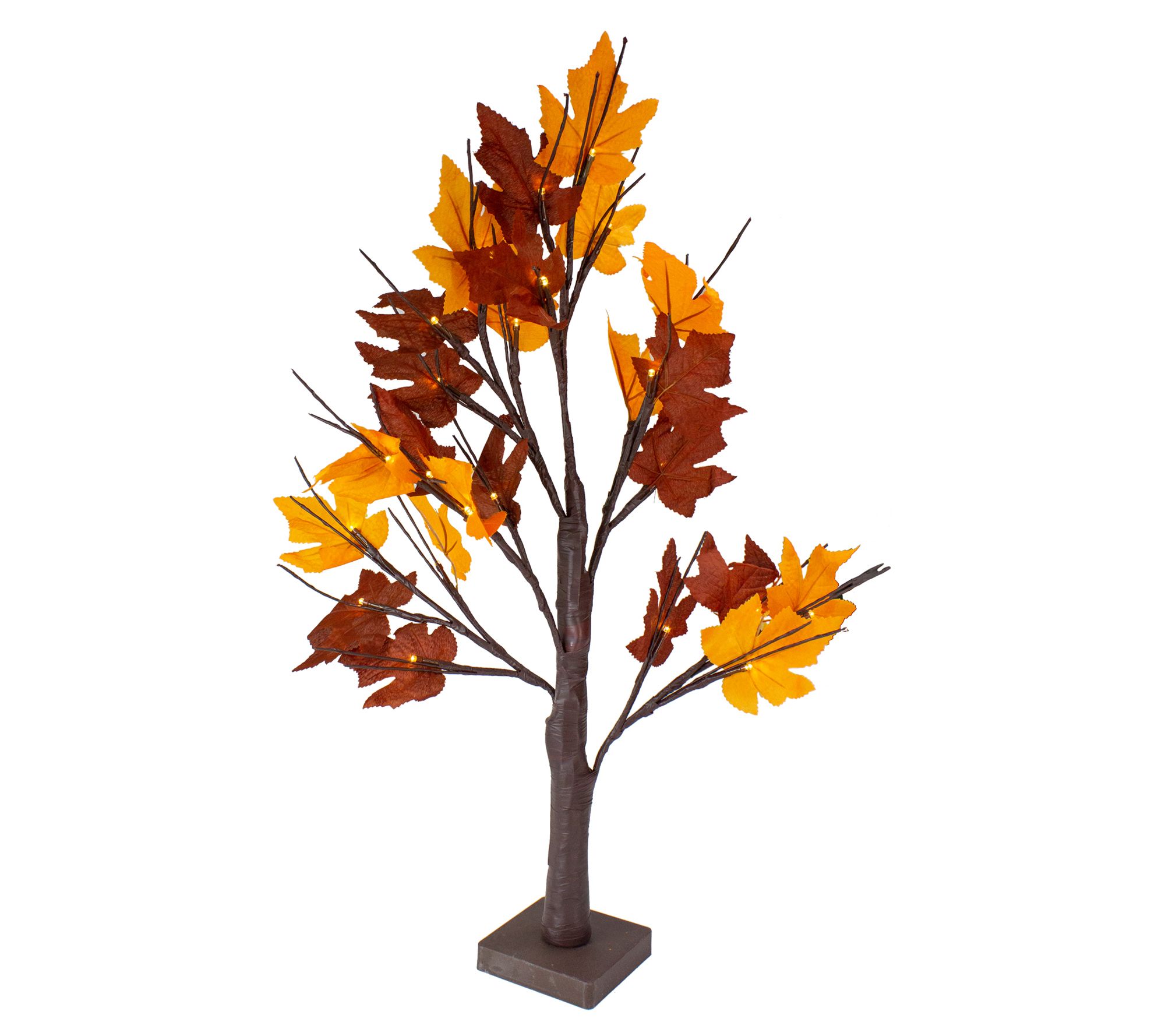 Northlight 2' Pre-Lit LED Brown Maple Tree- Cle ar Ligh