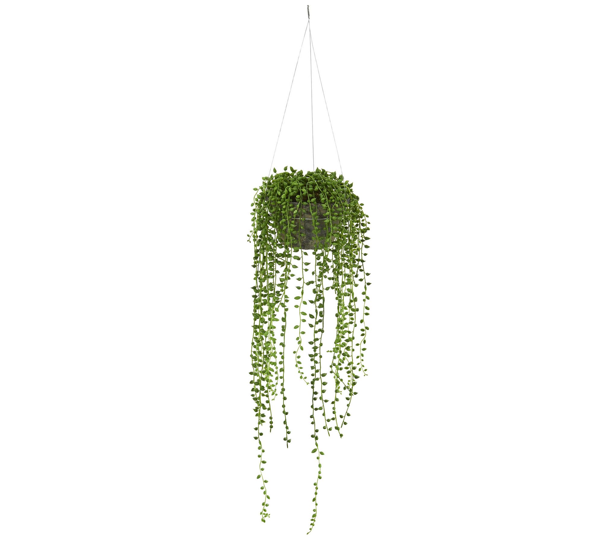 String-of-Pearl Plant Hanging Basket by NearlyNatural - QVC.com