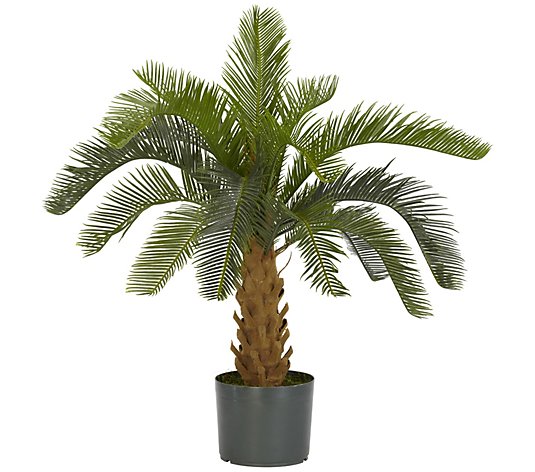 Cycas Faux Plant by Nearly Natural