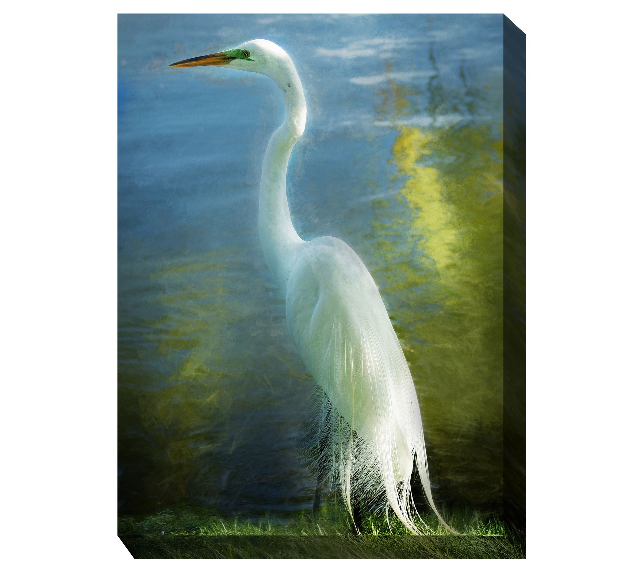 West of the Wind Poised Patience Outdoor CanvasArt 30x40