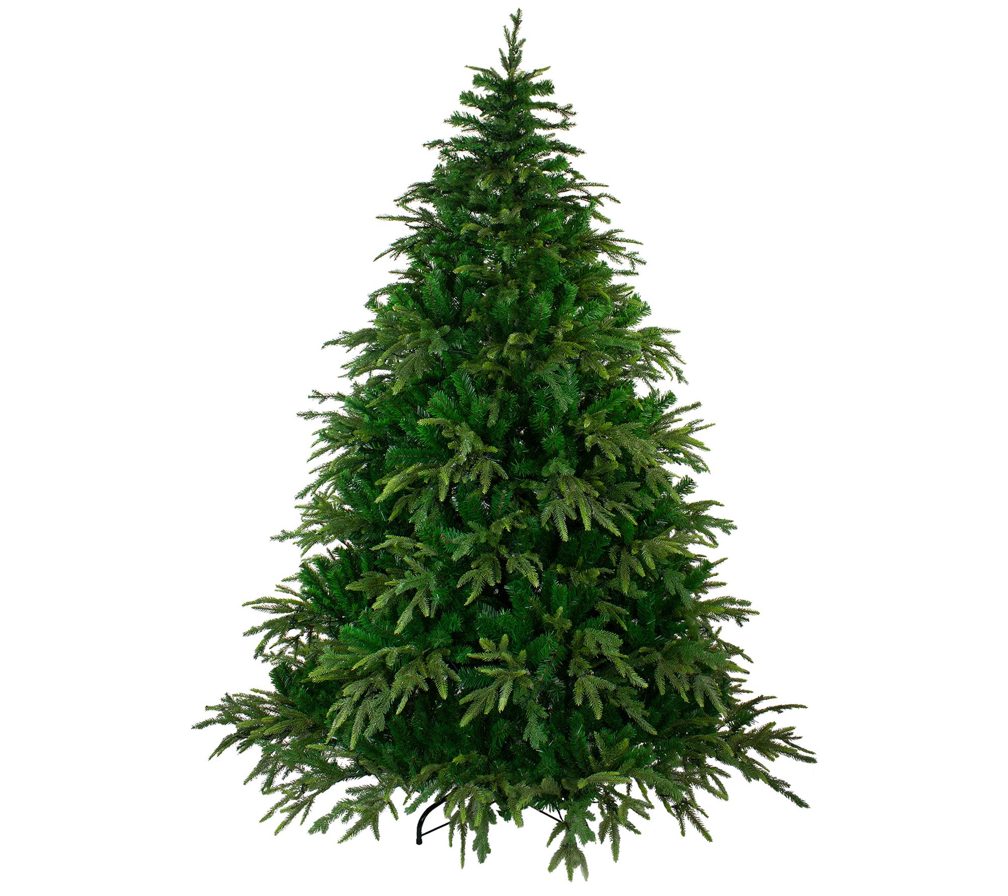 Northlight 7.5' Roosevelt Fir Artificial Tree Unlit