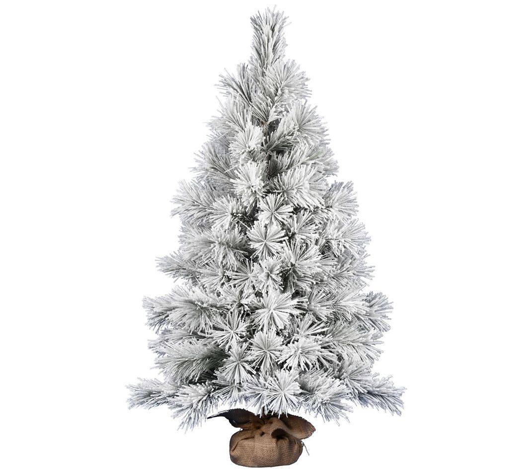 Vickerman 48" Frosted Beckett Pine Tree