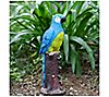 Techko Blue Parrot Statue with Solar Spotlight, 2 of 5