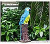 Techko Blue Parrot Statue with Solar Spotlight, 4 of 5