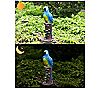Techko Blue Parrot Statue with Solar Spotlight, 5 of 5