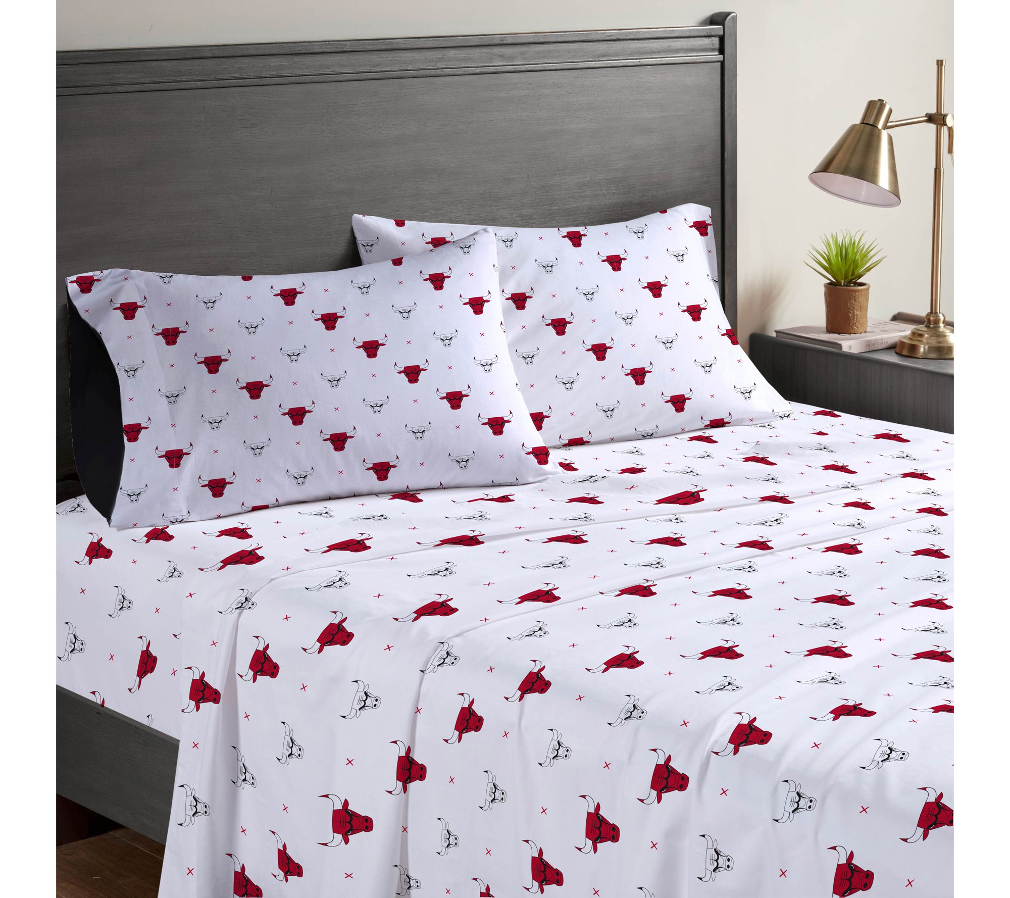 Pegasus Sports NBA Small X Queen Sheet Set