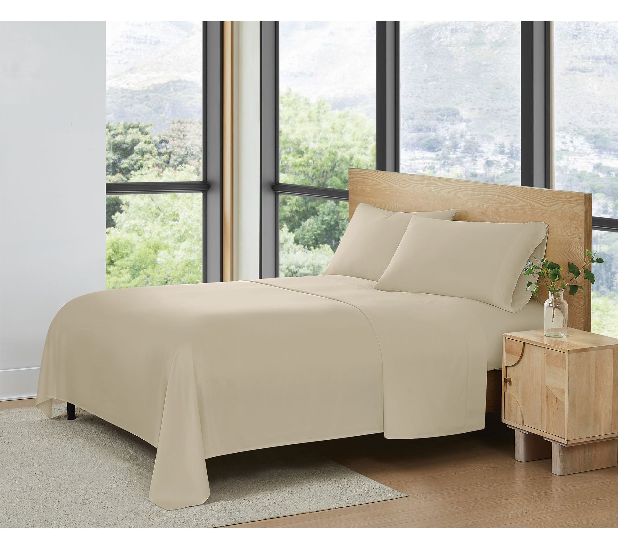 Frye Rayon from Bamboo 4 Piece Queen  Sheet Set