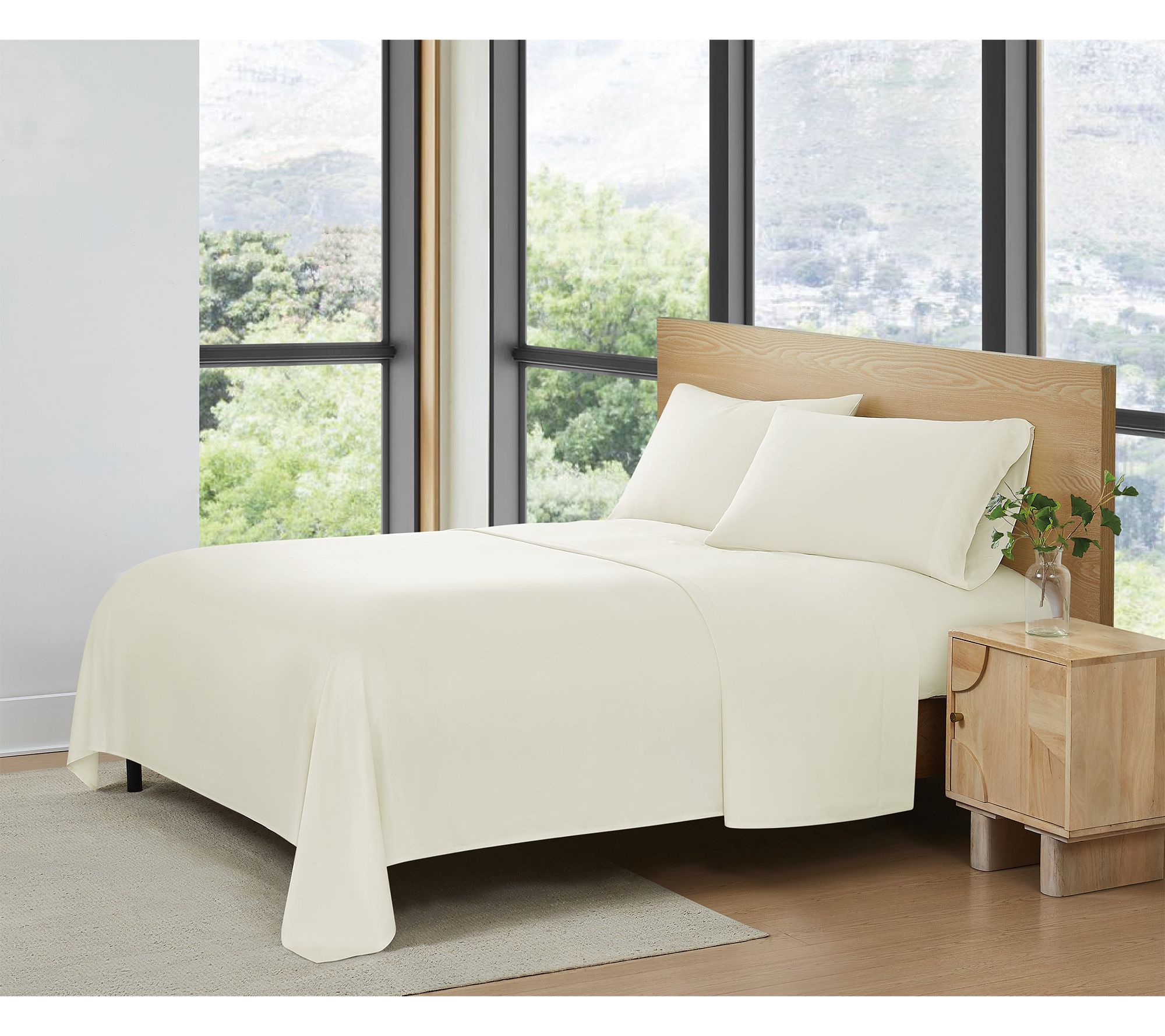 Frye Rayon from Bamboo 4 Piece Queen  Sheet Set