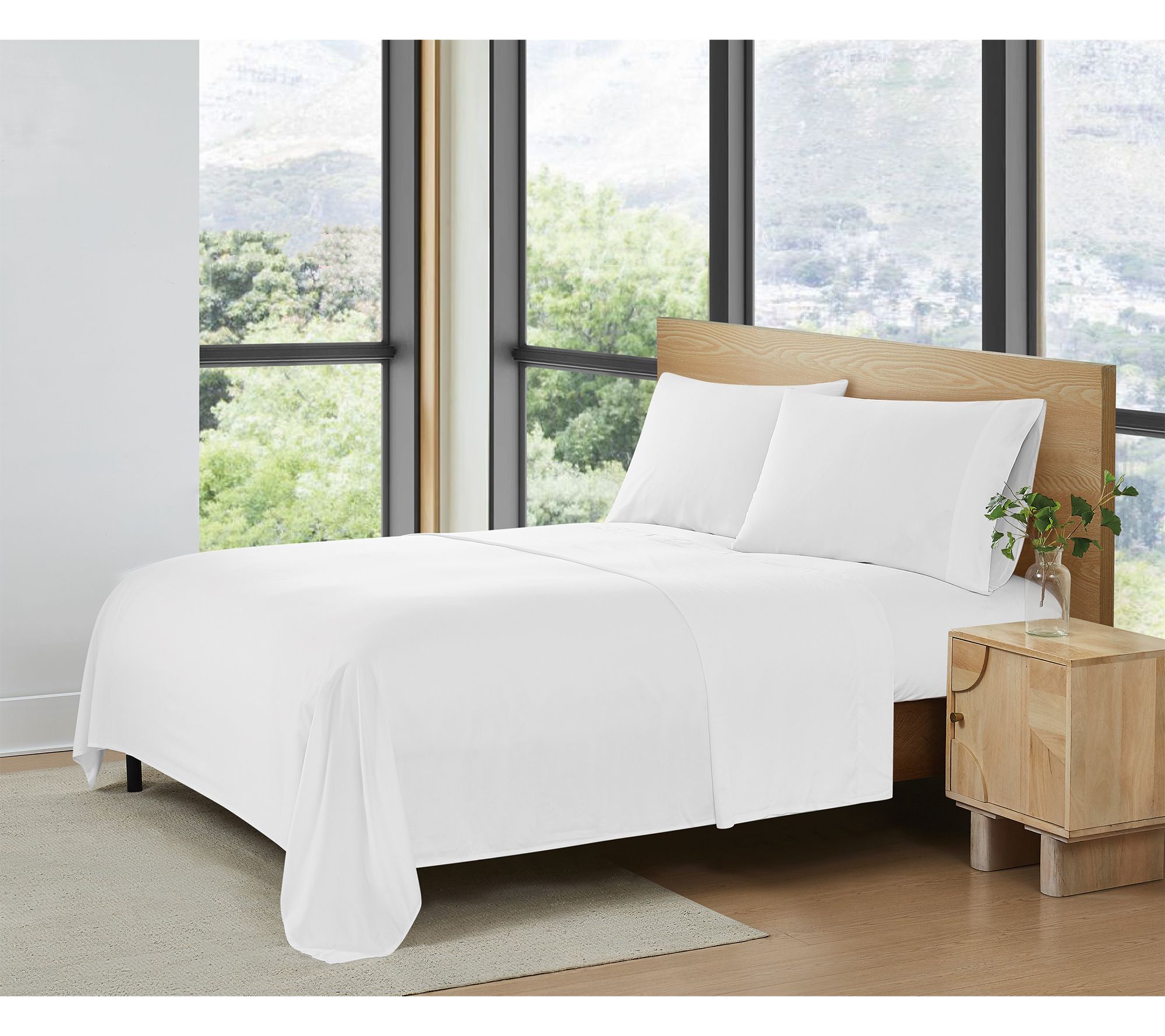 Frye Rayon from Bamboo 4 Piece Queen  Sheet Set