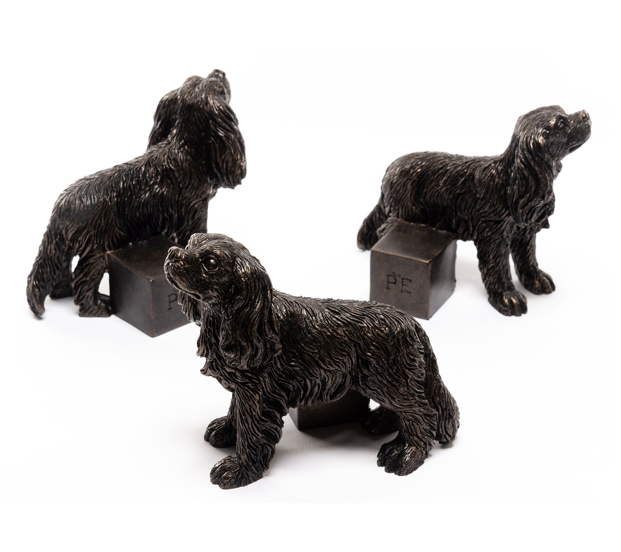 Jardinopia Potty Feet Cavalier King Charles Spa niel - Set of