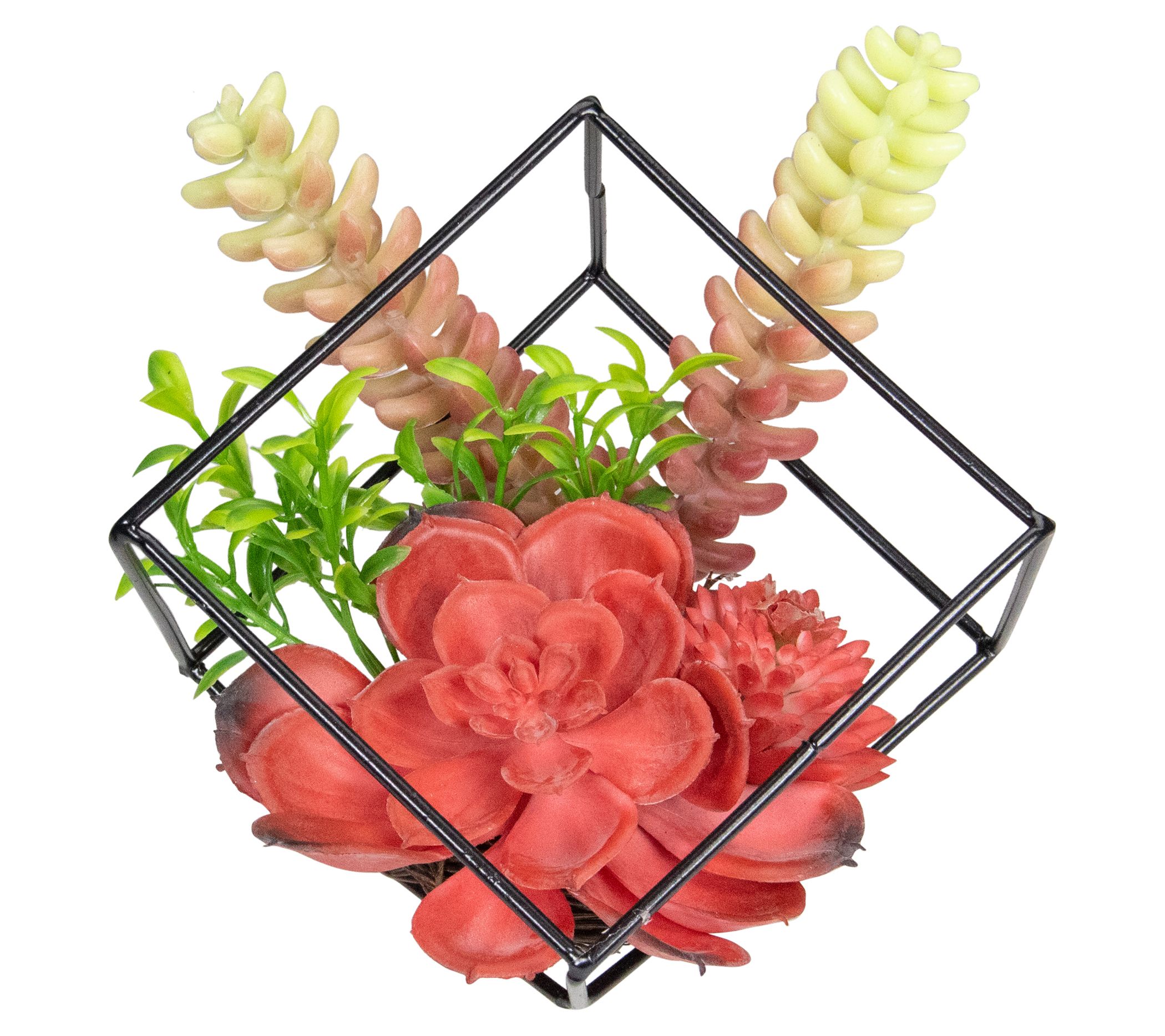 Northlight 5.5" Artificial Succulent Arrangement in Wire Frame