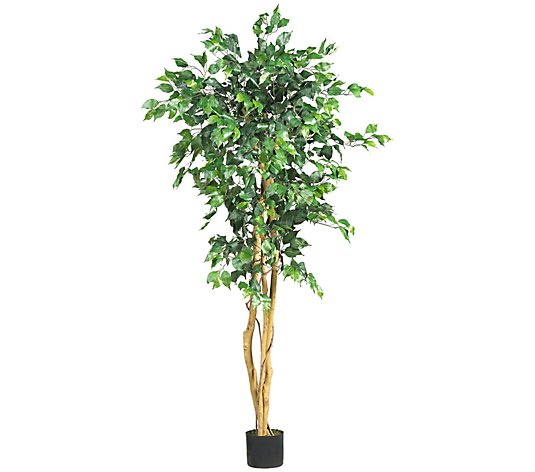 5' Ficus Tree by Nearly Natural