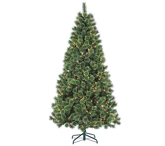 7' Pre-Lit Hard Needle Deluxe Cashmere Pine with Clear Lights