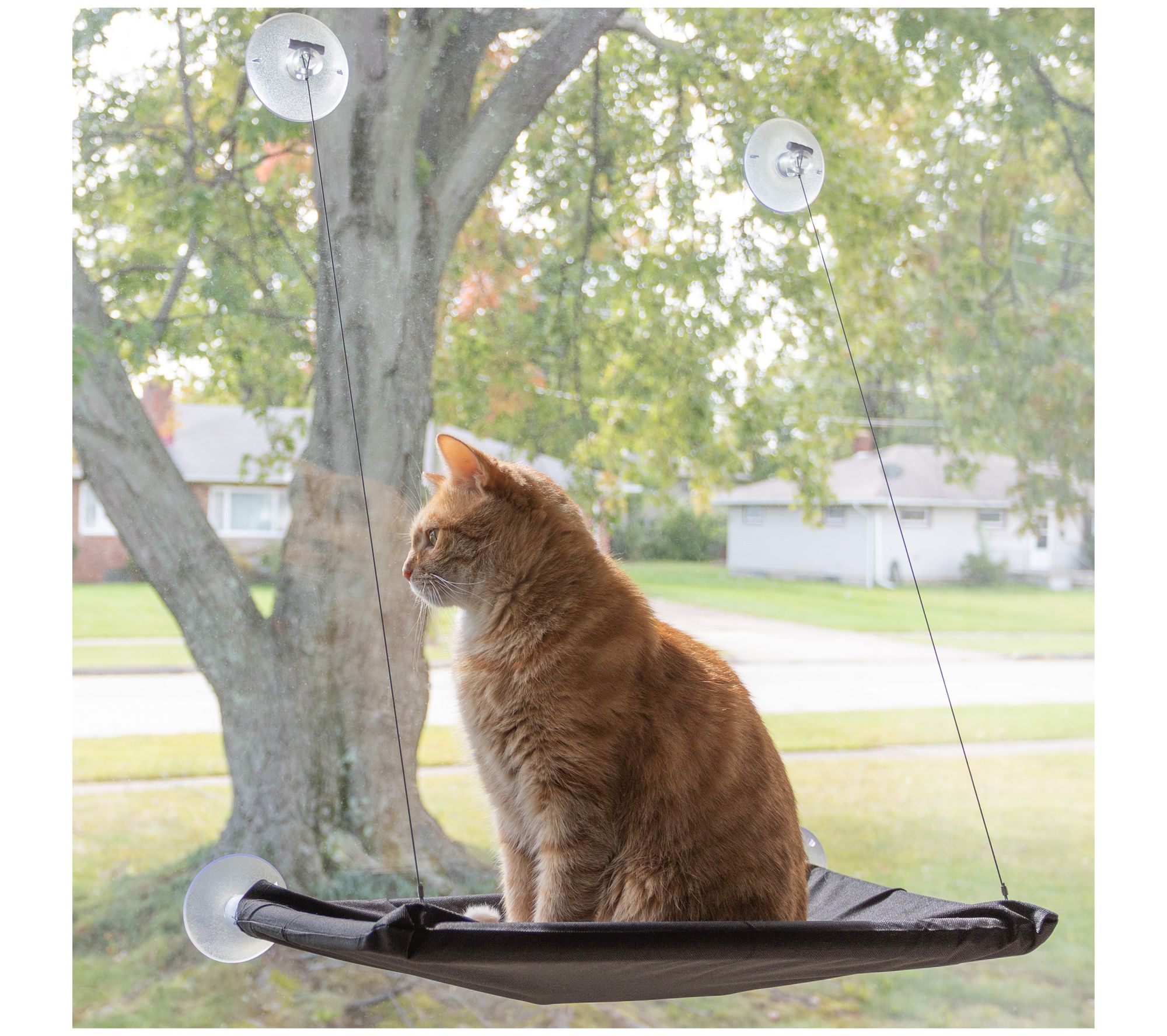 Petmaker Cat Window Perch
