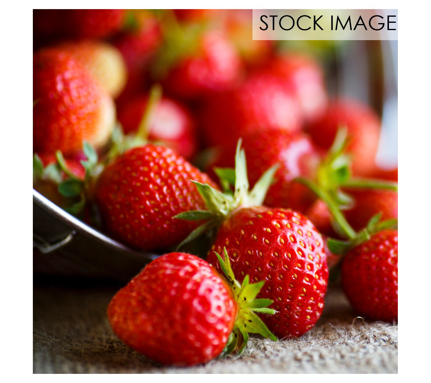 Van Zyverden Everbearing Strawberries Sequoia Set of 20 Roots