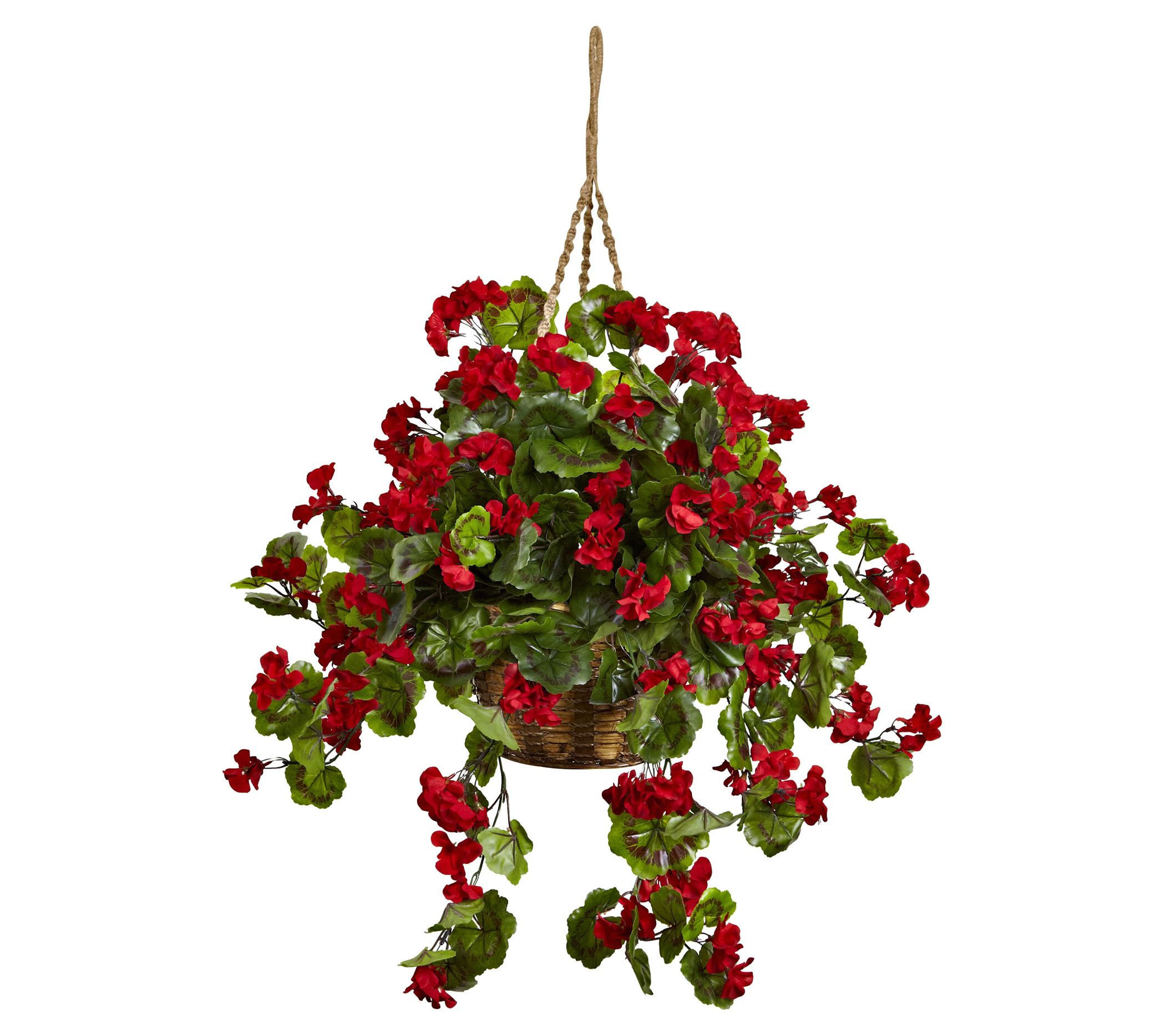 Geranium Hanging Basket by Nearly Natural - QVC.com