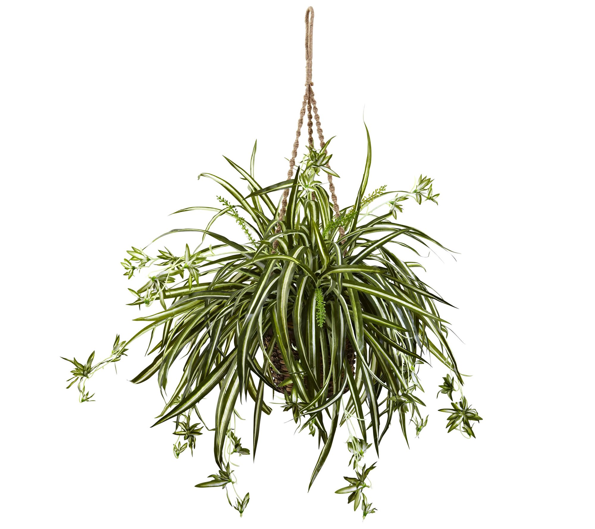 Spider Plant Hanging Basket by Nearly Natural