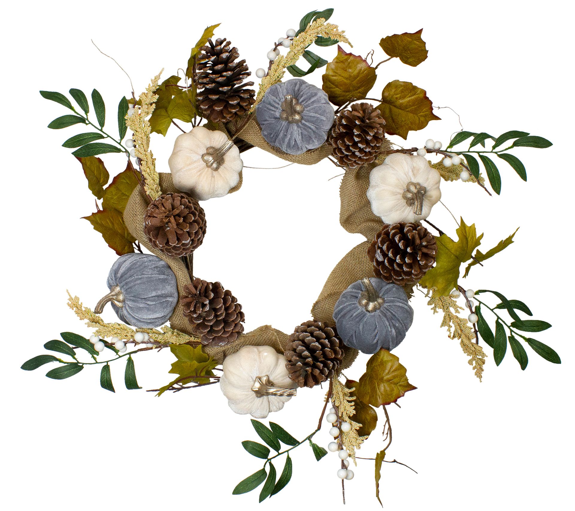 Northlight Pumpkins Foliage Grapevine Thanksgiving Wreath 24"