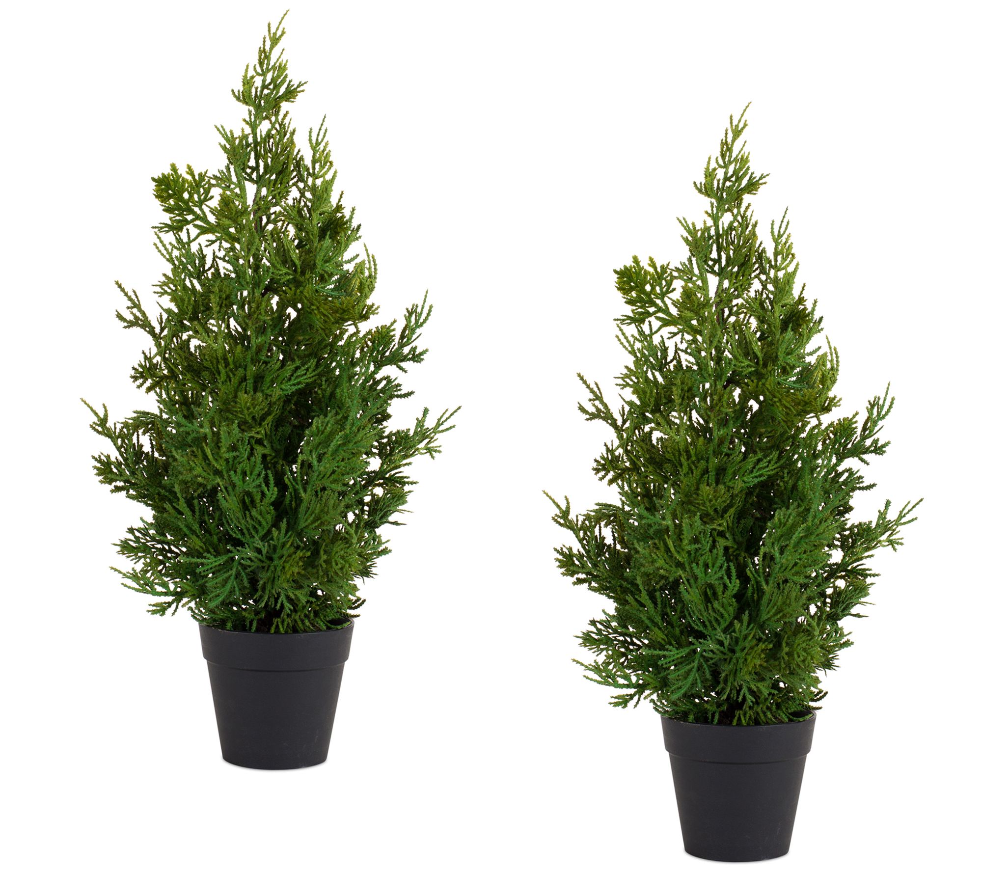 Melrose Holiday Pine Tree in Plastic Pot (Set of 2) - QVC.com