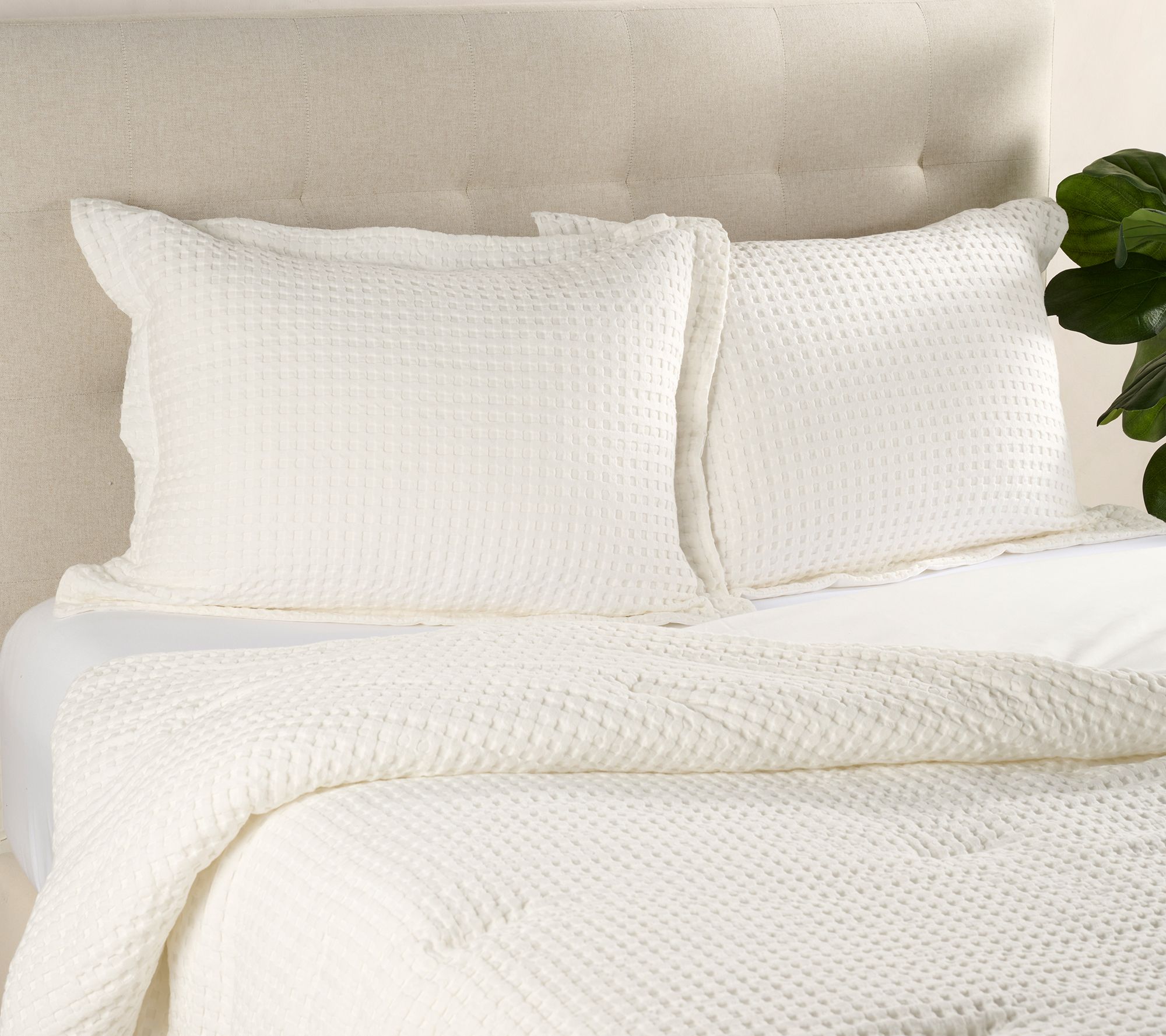 100% Cotton King Waffle Comforter & Sham Set by Kim Gravel