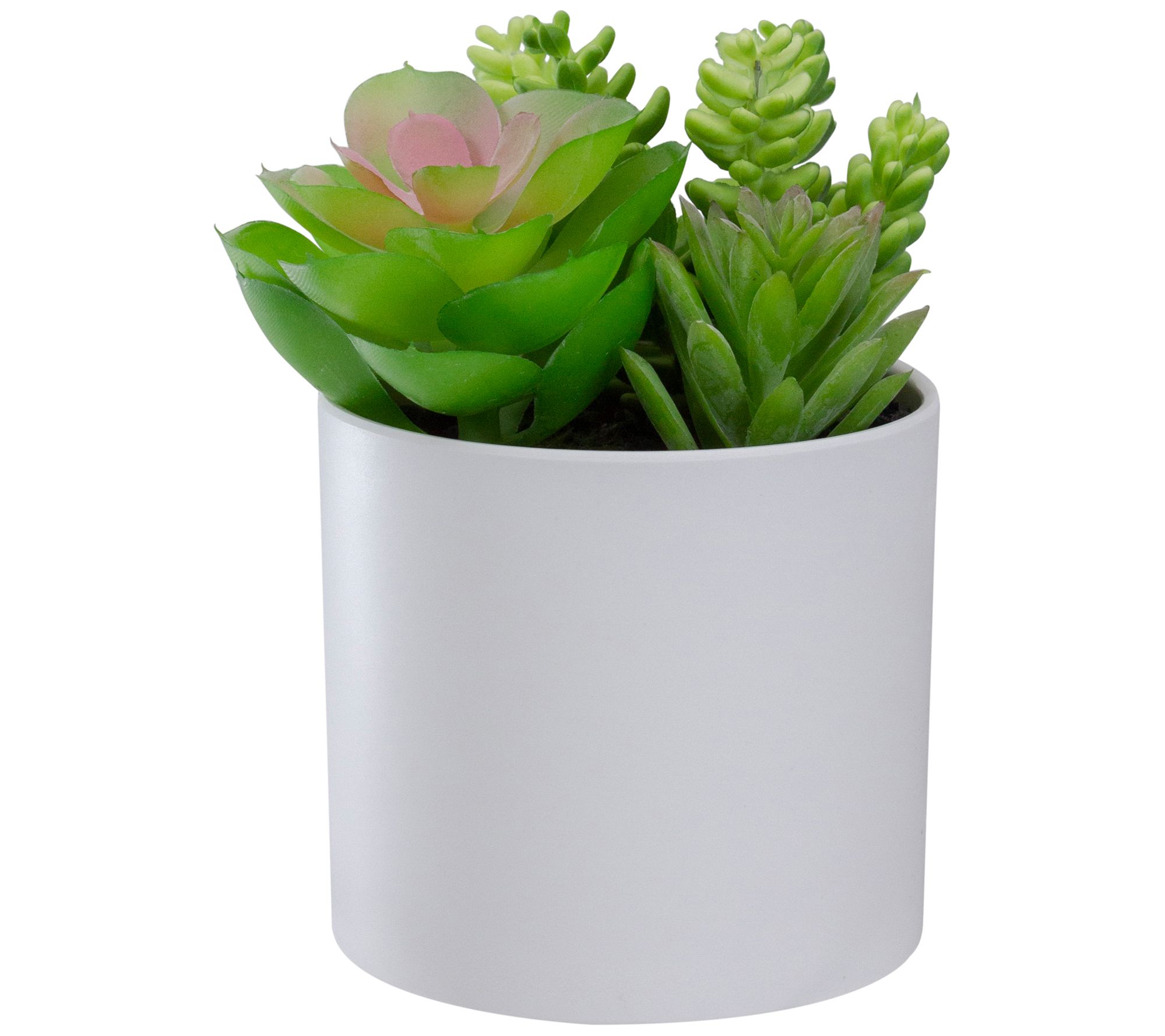 Northlight 5.5" Artificial Succulent Arrangement in Pot