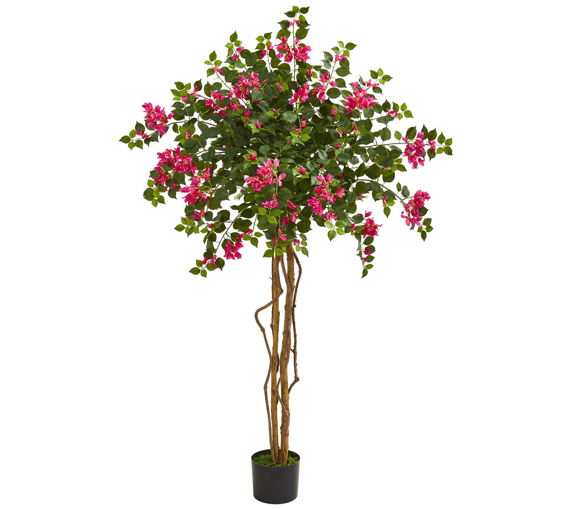 5.5' Bougainvillea Artificial Tree By Nearly Natural - Qvc.com