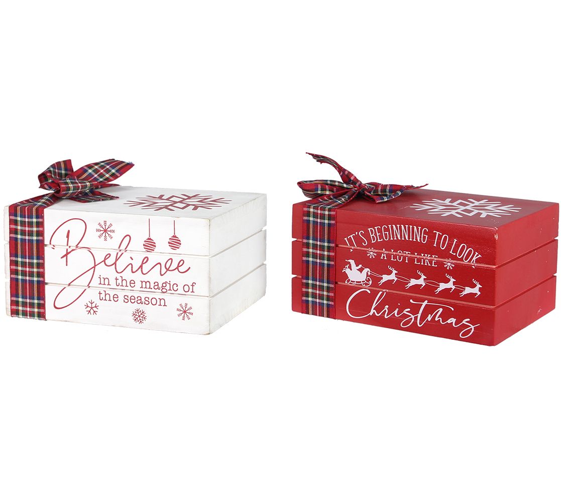 Young's Set of 2 Wood Winter Whimsy Faux Christ mas Books