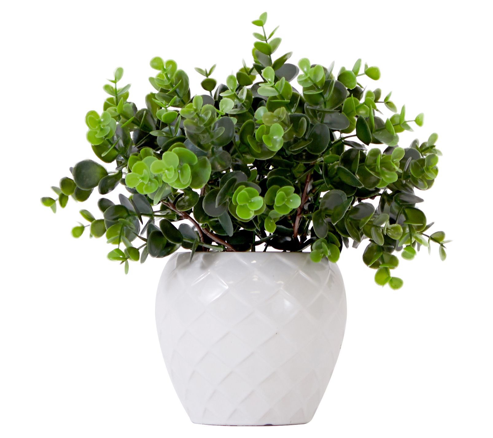 Nearly Natural 11" Artificial Boxwood Plant with  Planter