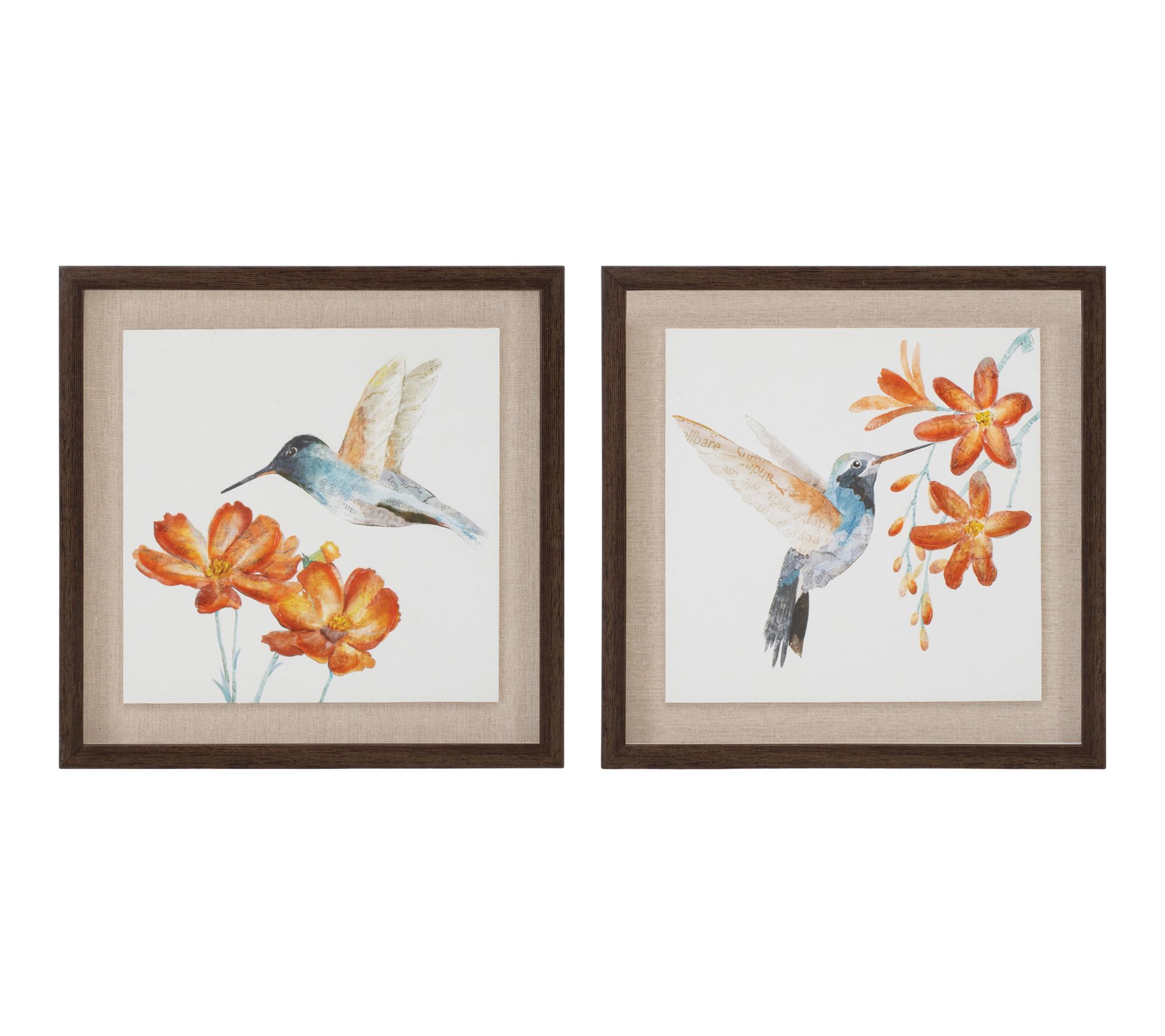 Melrose International Framed Hummingbird FloralPrint Set